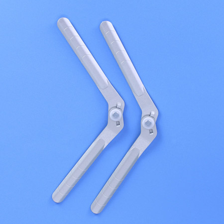 joint